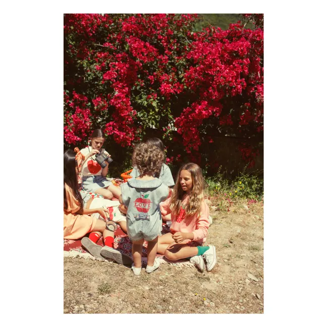 Mono vaquero | Azul descolorido