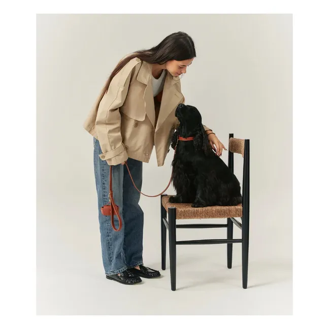 Collier pour chien en cuir vegan | Marron