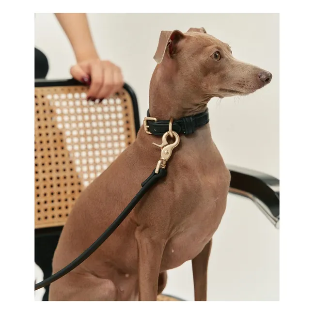 Collar para perro de cuero vegano | Negro