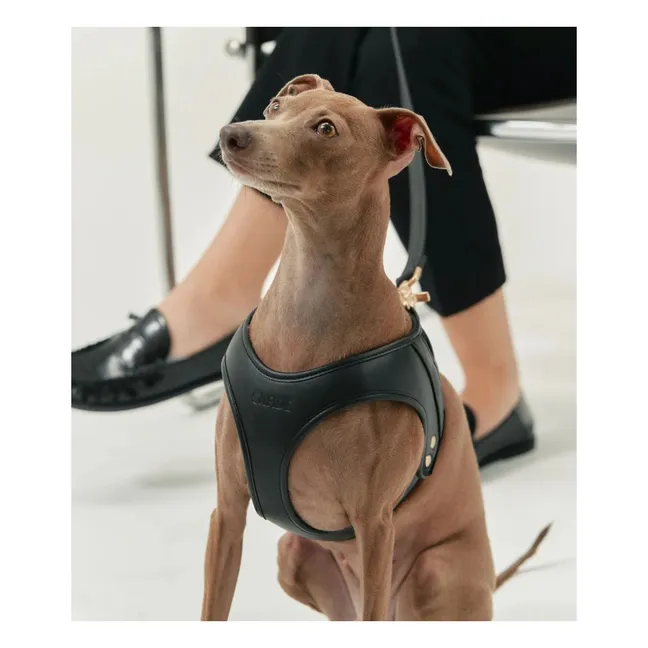 Vegan leather dog harness | Black