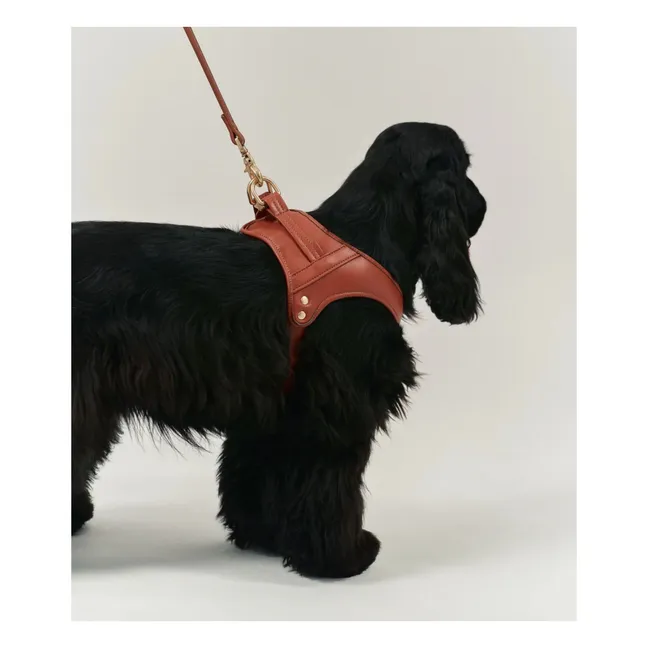 Vegan leather dog harness | Brown