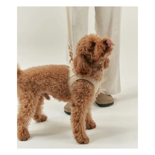 Vegan leather dog harness | Beige