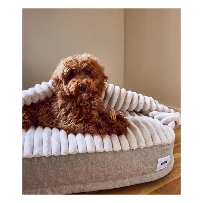 Panier pour chien Maso | Beige