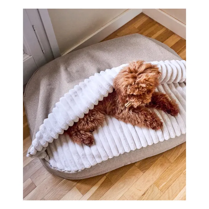 Panier pour chien Maso | Beige- Image produit n°1