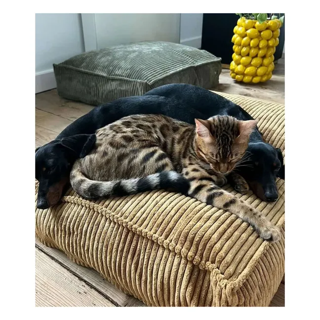 Colchoneta para perros Cuadra Corduroy | Verde