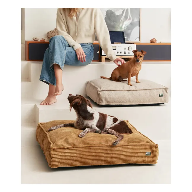 Colchoneta para perros Cuadra Corduroy | 70