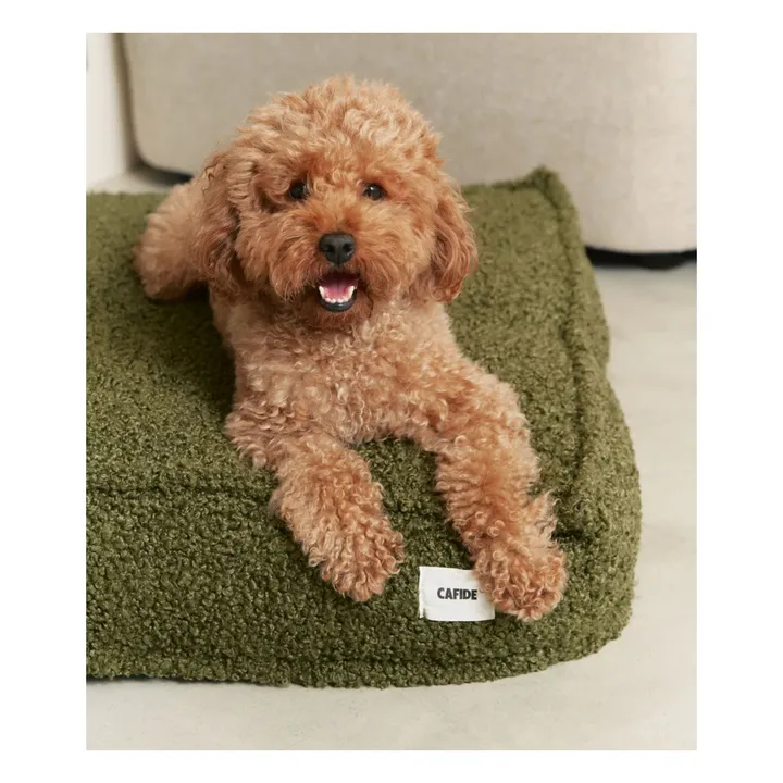 Matelas pour Chien en bouclette Cuadra | Vert- Image produit n°2