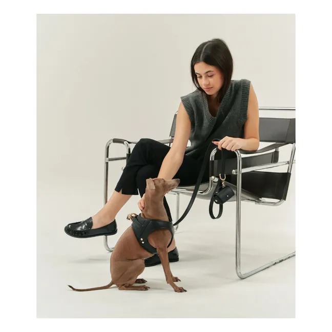 Laisse pour chien en cuir vegan | Noir