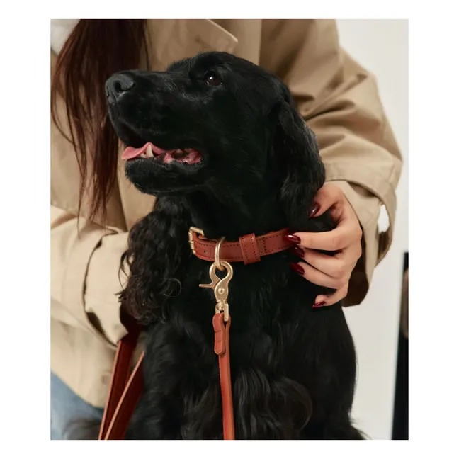 Correa para perro de cuero vegano | Marrón