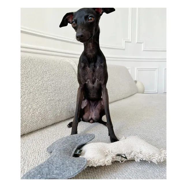Juguete de hueso para perro | Off-White