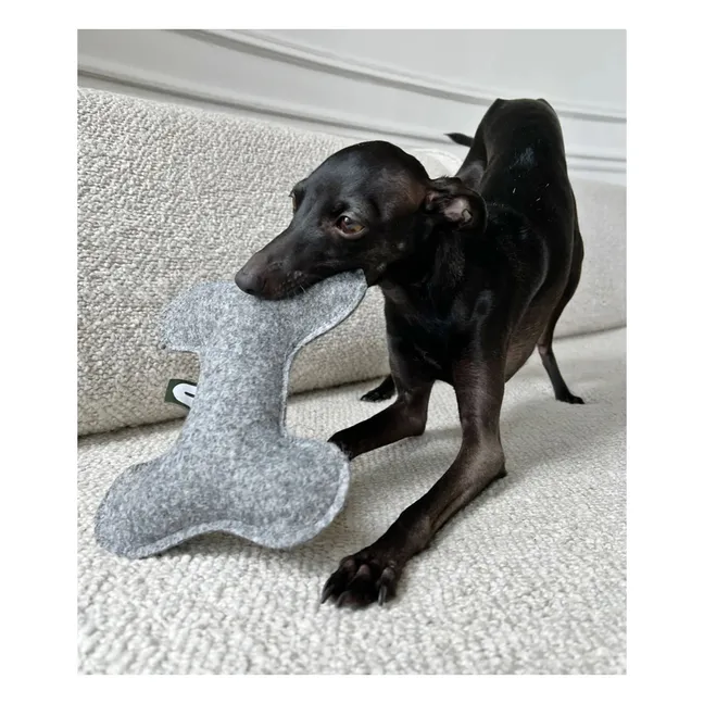 Juguete de hueso para perro | Gris