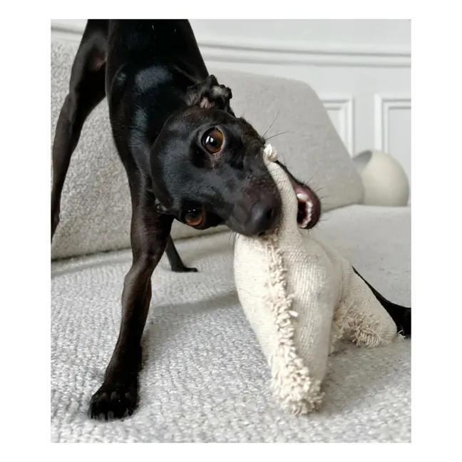 Juguete de hueso para perro | Off-White