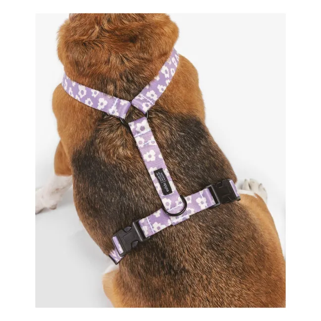 Juno dog harness | Lilac