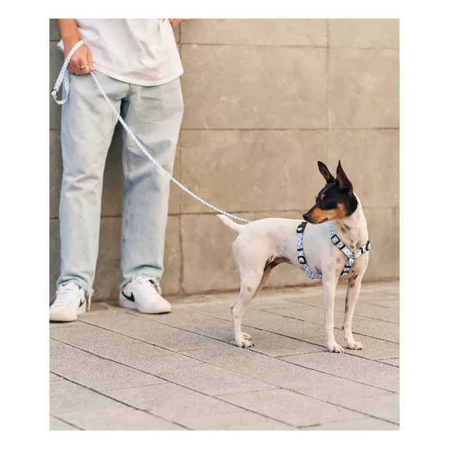 Juno dog harness | Light blue