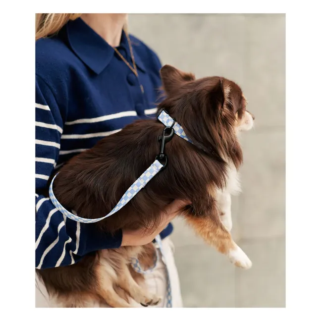 Laisse pour chien Juno | Bleu ciel