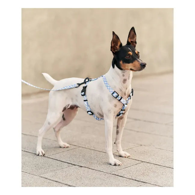 Laisse pour chien Juno | Bleu ciel