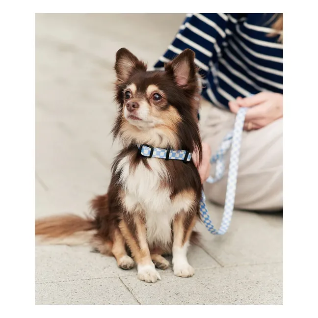 Laisse pour chien Juno | Bleu ciel