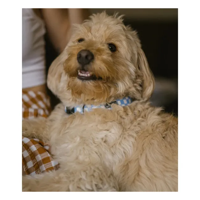 Collier pour chien Juno | Bleu ciel