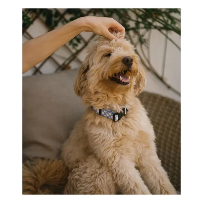 Collier pour chien Juno | Bleu ciel
