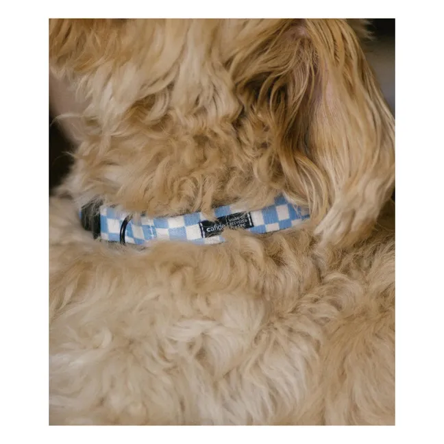 Collier pour chien Juno | Bleu ciel
