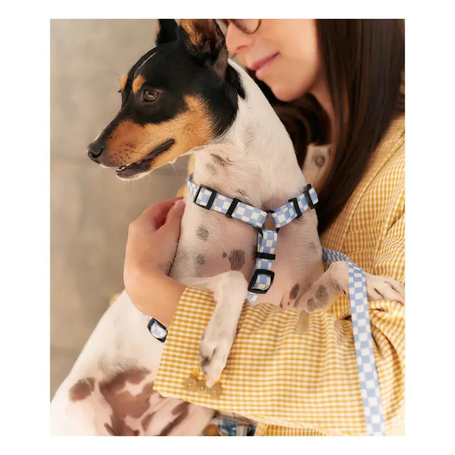 Juno dog harness | Light blue