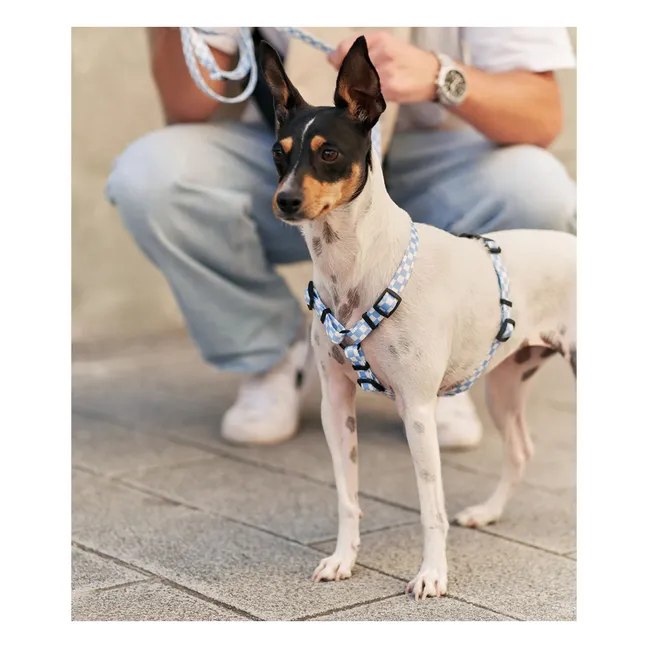 Juno dog harness | Light blue