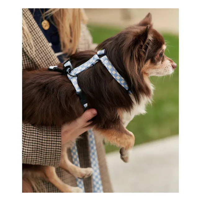 Juno dog harness | Light blue
