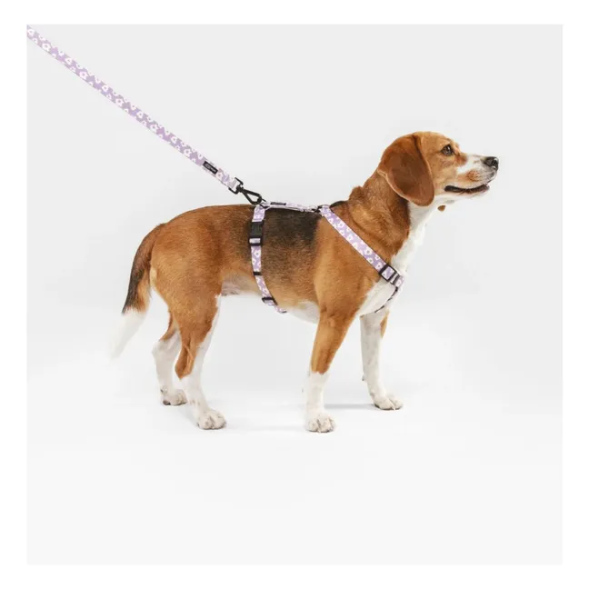 Laisse pour chien Juno | 	Lilas