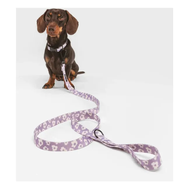 Laisse pour chien Juno | 	Lilas