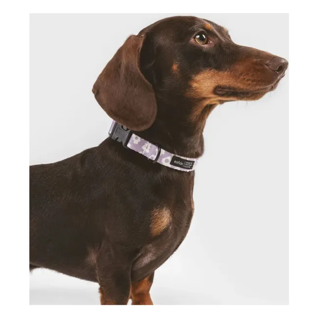 Collier pour chien Juno | Lilas