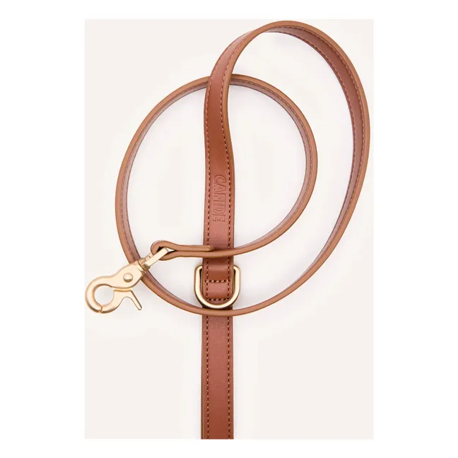 Laisse pour chien 3 positions en cuir vegan | Marron