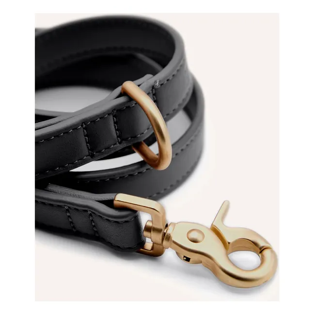 Correa para perro de cuero vegano | Negro