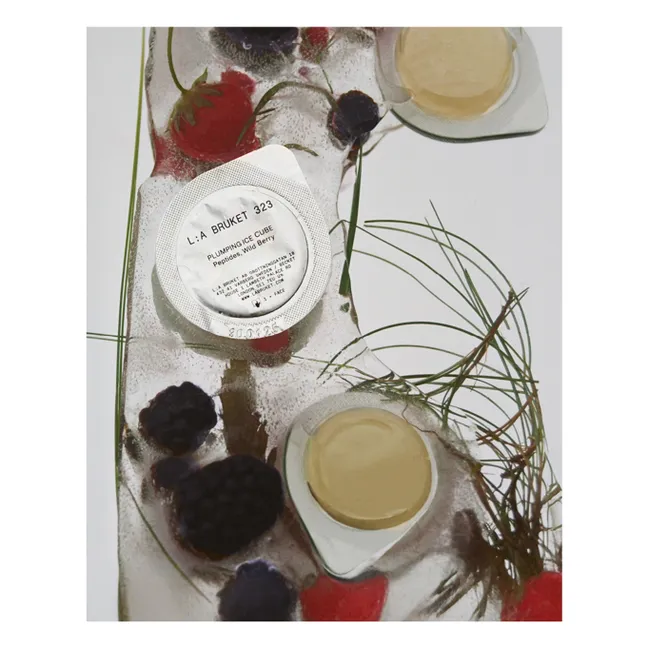 Cubitos de hielo rellenadores 323 - 10 cápsulas