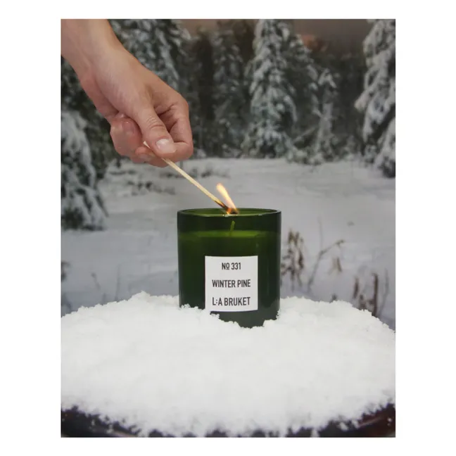 Kerze Winter Pine 331 - Limitierte Auflage - 260g