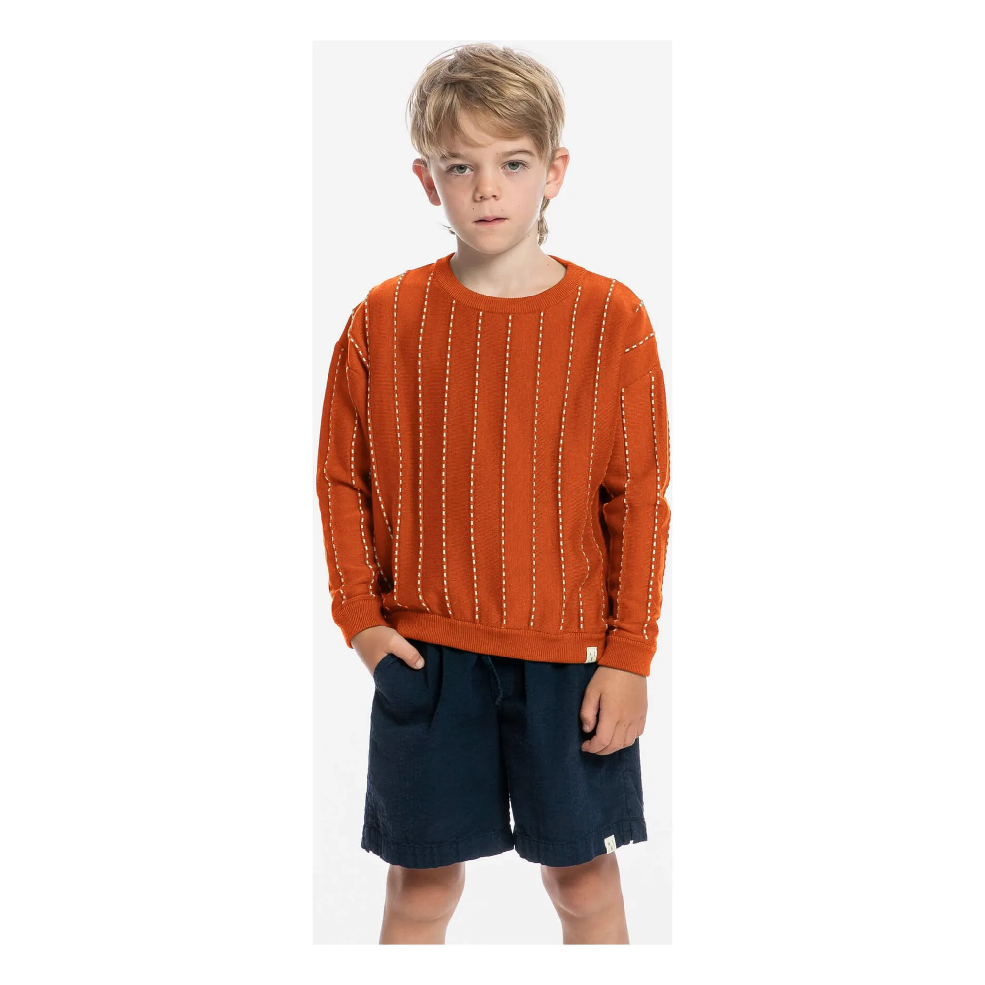 Pull Rayé Coton Bio | Bleu foncé- Image produit n°1