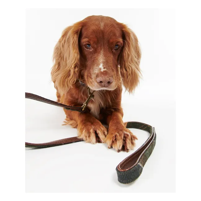 Tartan dog leash | Taupe brown