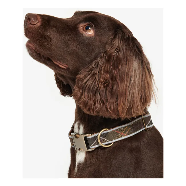 Collier pour chien Tartan Réfléchissant | Taupe
