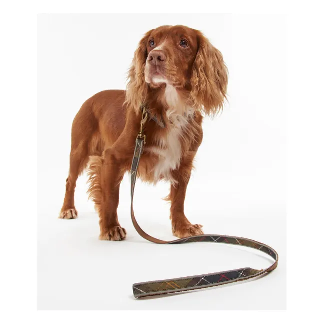 Tartan Reflective Dog Lead | Taupe brown