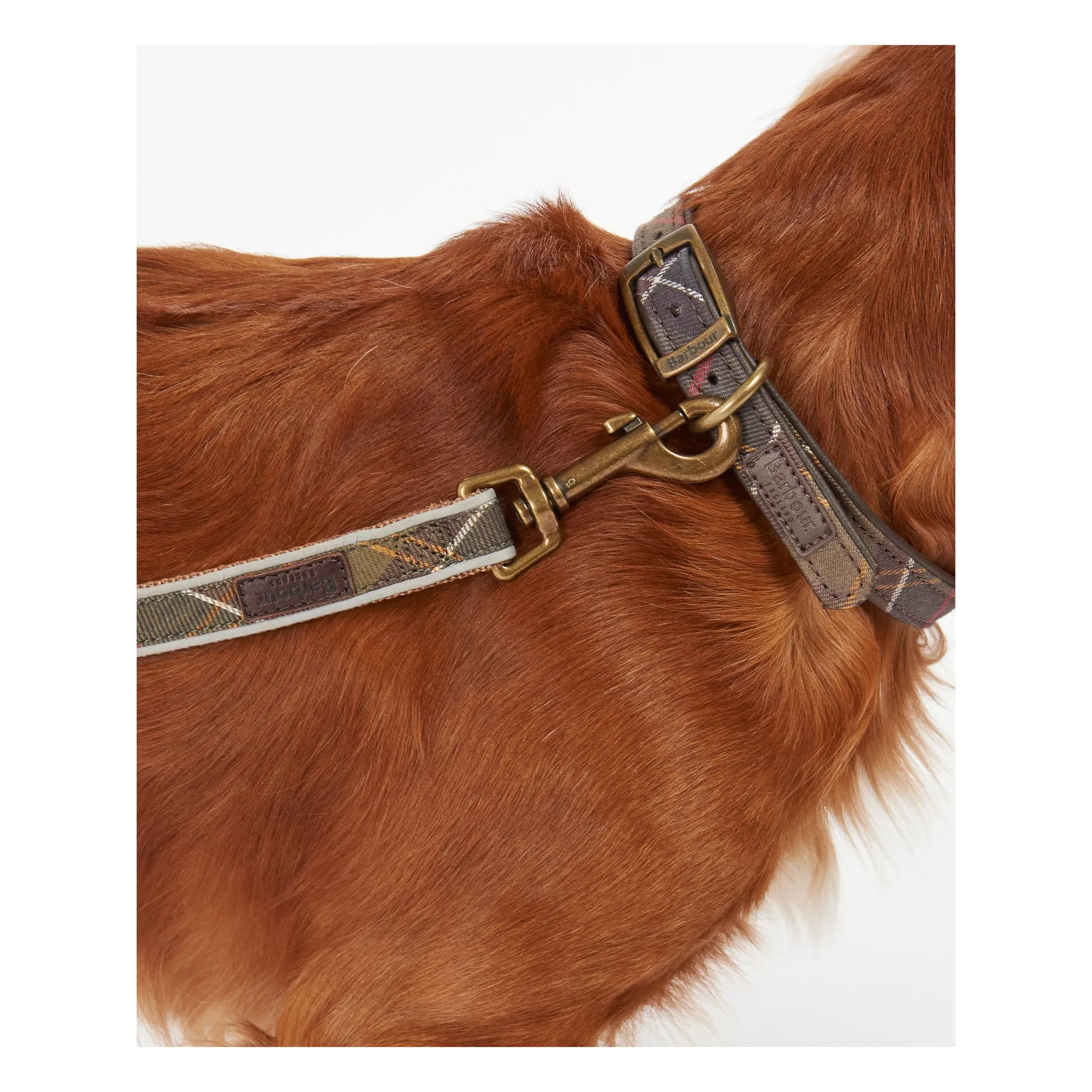 Laisse pour chien Tartan Réfléchissante | Taupe- Image produit n°3