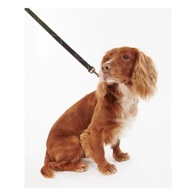 Tartan dog leash | Taupe brown