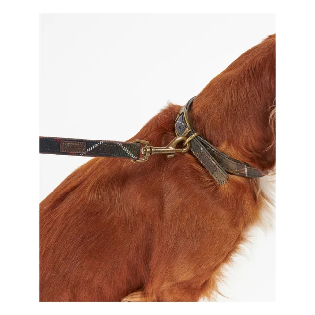 Laisse pour chien Tartan | Taupe