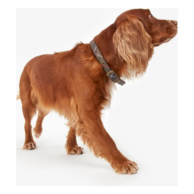Collier pour chien Tartan | Taupe