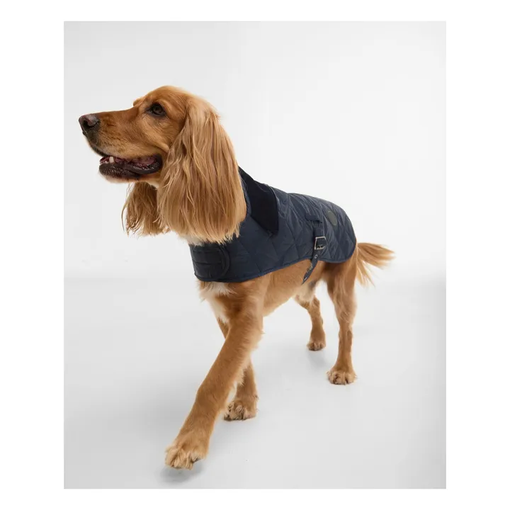 Quilted coat for dogs | Navy blue- Product image n°5