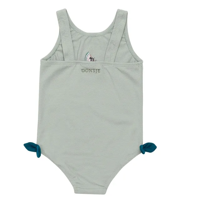 Maillot de Bain Stien Pastèque | Bleu gris