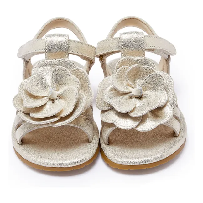 Iles Fields Flower Sandals | Silver