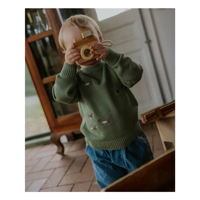 Pullover Mahdi Hunde Bio-Baumwolle | Wassergrün