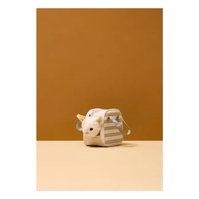 Gattino coccoloso con borsa