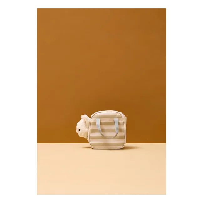 Gattino coccoloso con borsa