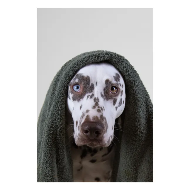 Shampoo per cani senza solfati Holidog - 480ml