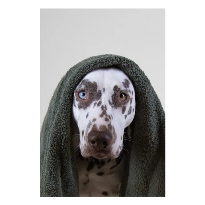 Shampoing pour chien sans sulfate Holidog - 480ml- Image produit n°3